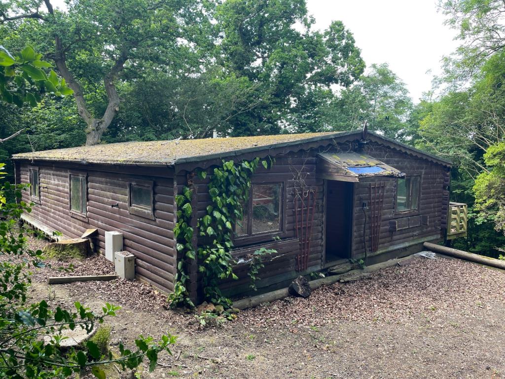 Lot: 111 - DETACHED CABIN IN WOODLAND SETTING - Exterior 1